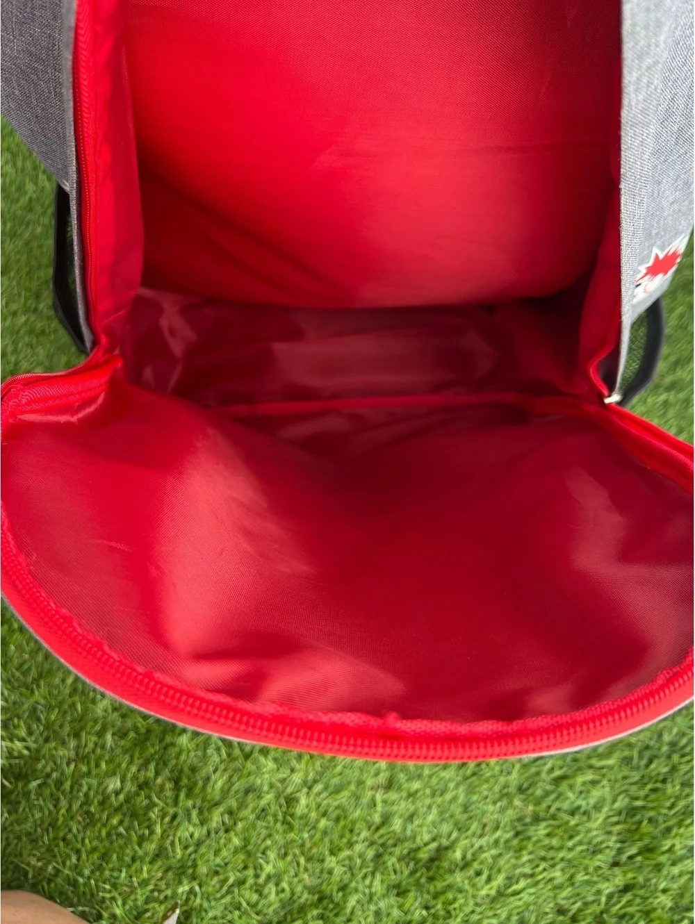 Cincinnati Reds Heads Gray and Red Backpack